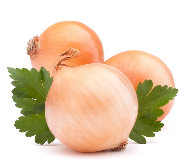Onion vegetable bulb and parsley leaves still life — Stock Photo, Image