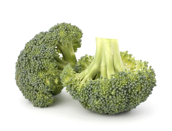 Légumes brocoli — Photo