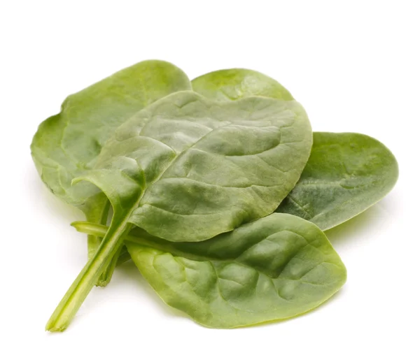 Szpinak warzywa wyłącznik — Zdjęcie stockowe