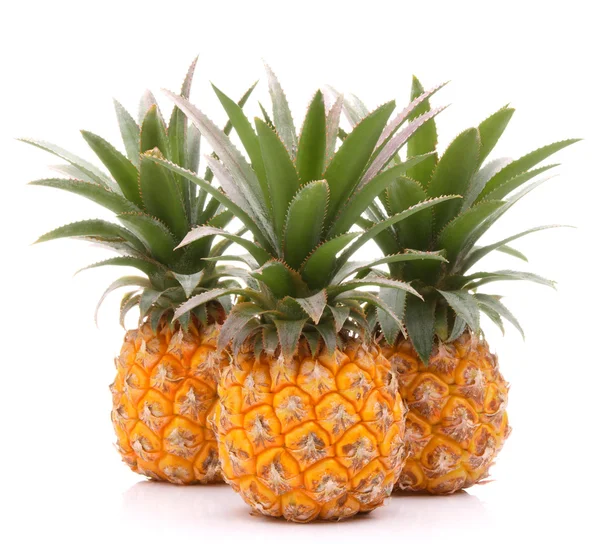 Pineapple tropical fruit or ananas — Stock Photo, Image