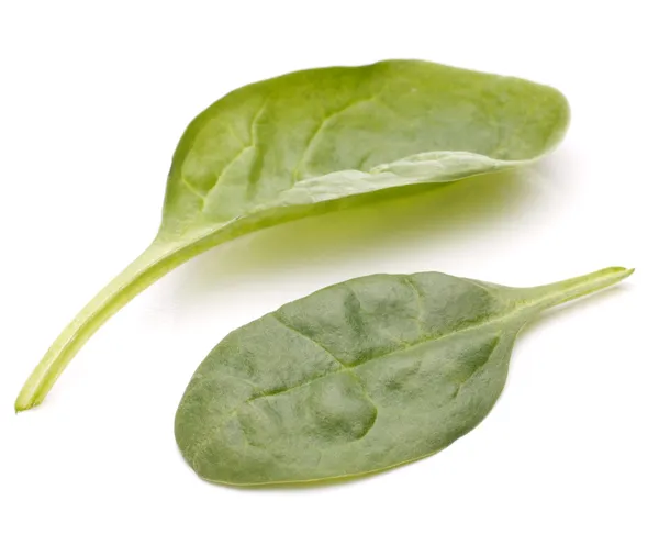 Spinat-Gemüseausschnitt — Stockfoto