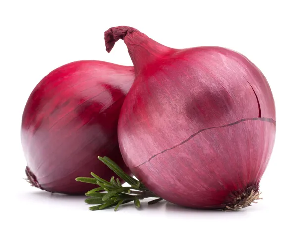 Red onion and rosemary leaves — Stock Photo, Image