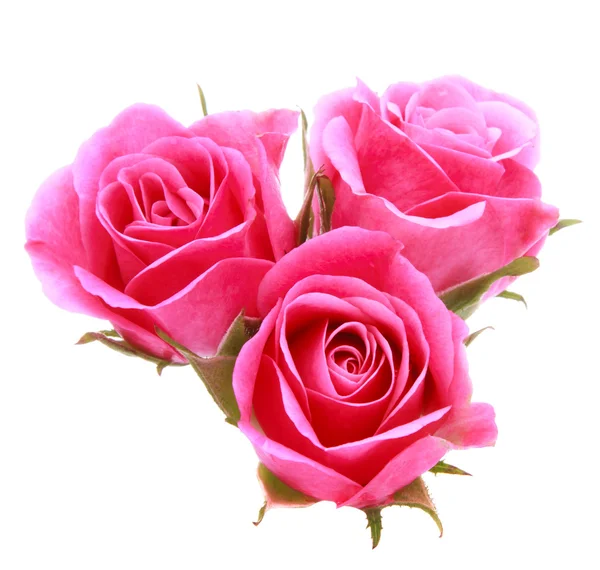 Pink rose flower bouquet — Stock Photo, Image