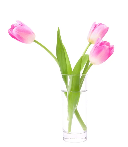 Ramo de tulipanes rosados en jarrón —  Fotos de Stock