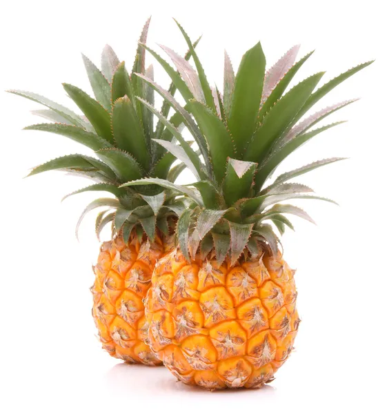 Pineapple tropical fruit or ananas — Stock Photo, Image