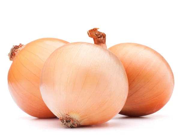 Bolbos de cebola de ouro vegetal — Fotografia de Stock