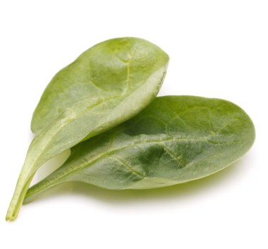 ıspanak sebze kesme