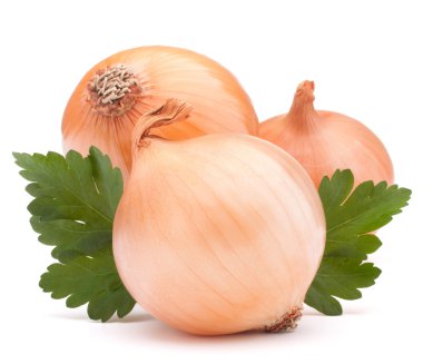 soğan sebze ampul ve maydanoz yaprakları natürmort