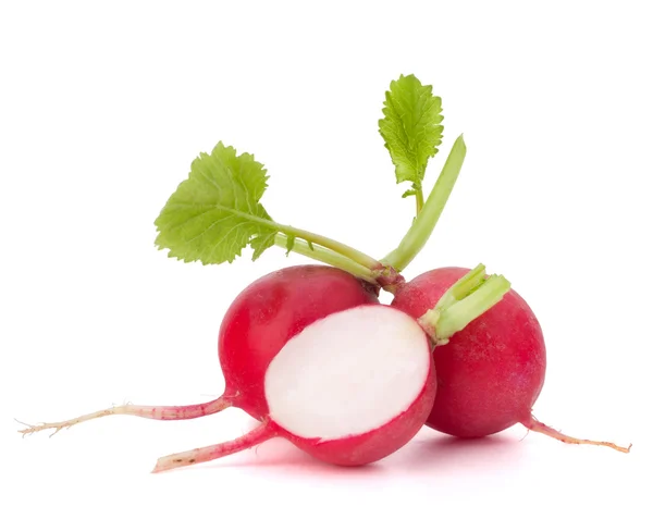 Small garden radish — Stock Photo, Image