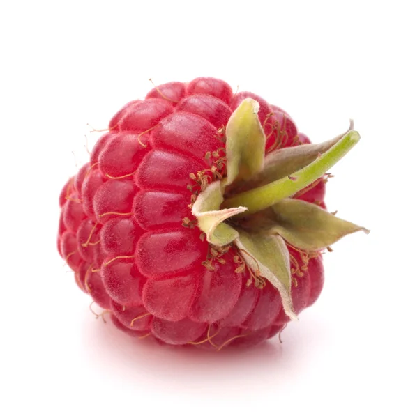 Sweet raspberry isolated on white background cutout — Stock Photo, Image