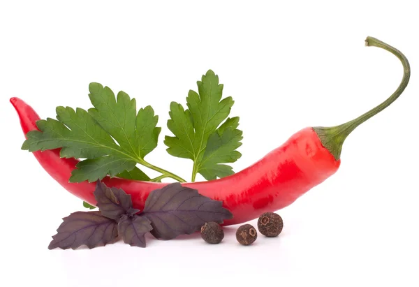Peperoncino rosso caldo o peperoncino ed erbe aromatiche foglie morte — Foto Stock