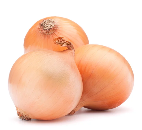 Gold onion vegetable bulbs — Stock Photo, Image