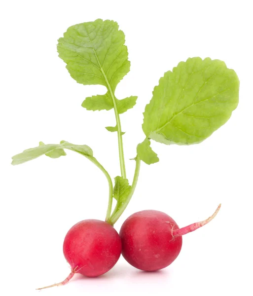 Small garden radish with leaves — Stock Photo, Image