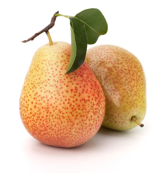 PEAR vruchten — Stockfoto