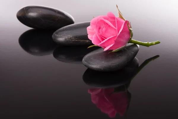 Balneario de piedra y flores de rosas naturaleza muerta. Concepto sanitario . —  Fotos de Stock