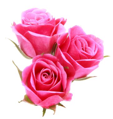 Beyaz arka plan kesme izole pembe Gül çiçek buketi