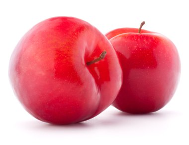 tatlı Erik üzerinde beyaz bir arka plan kesme izole