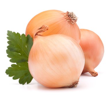 soğan sebze ampul ve maydanoz yaprakları natürmort