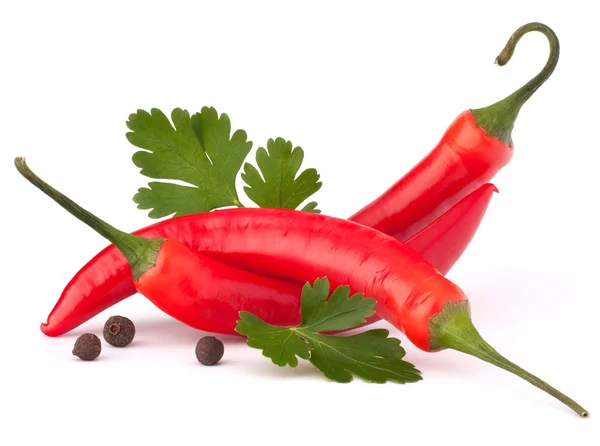 Hot red chili or chilli pepper and parsley leaves — Stock Photo, Image