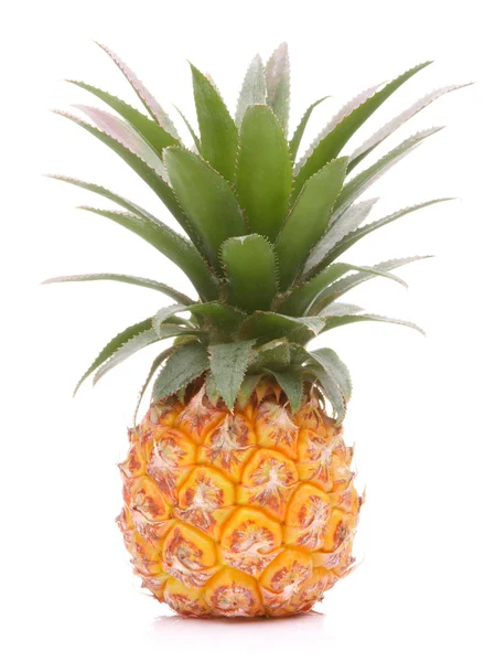 Pineapple tropical fruit or ananas — Stock Photo, Image