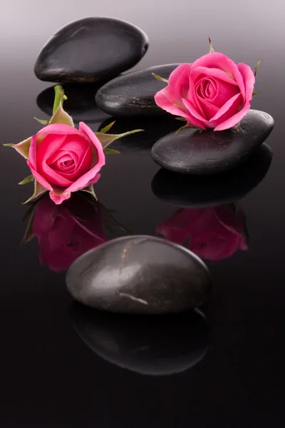 Kamenné lázně a květy růže zátiší. koncepce zdravotnictví. — Stock fotografie