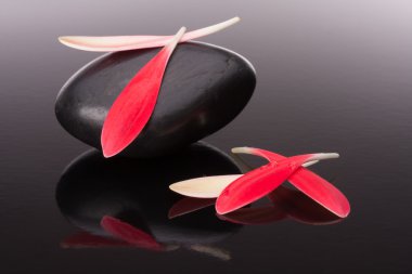 Spa taş ve çiçek petal natürmort. Sağlık kavramı.