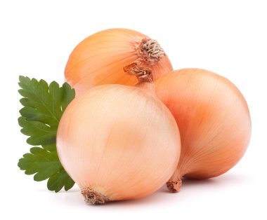 soğan sebze ampul ve maydanoz yaprakları natürmort