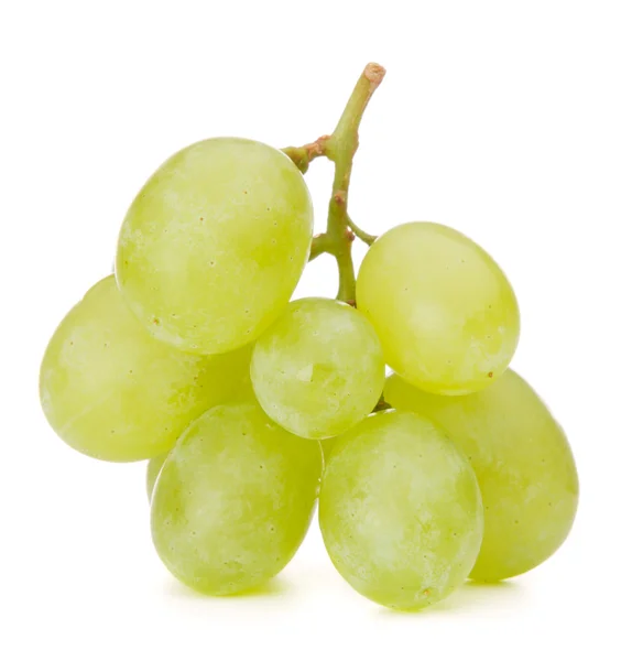 Green grape bunch — Stock Photo, Image