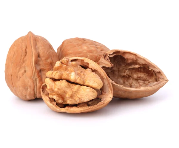 Walnut — Stock Photo, Image