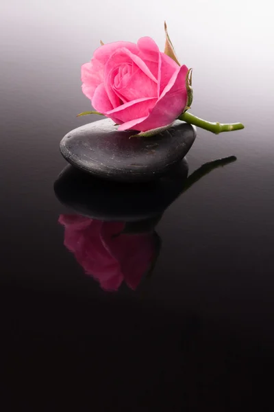 Spa sten och rosa blommor stilleben. hälso-och koncept. — Stockfoto