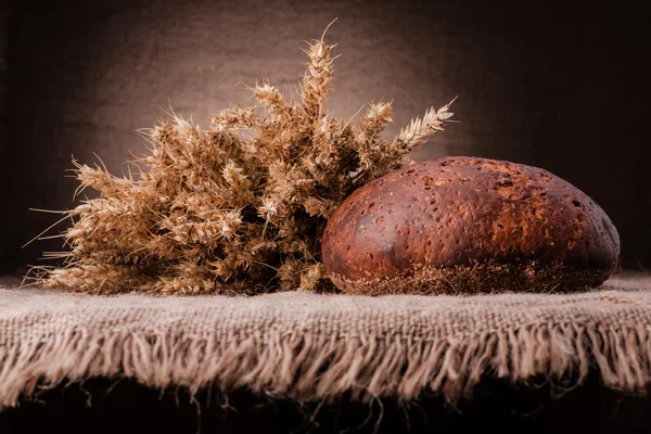 Loaf of bread and rye ears still life — Stock Photo, Image