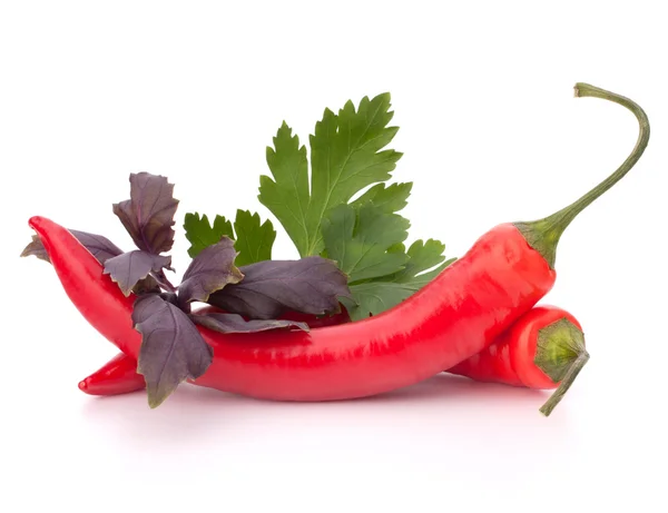 Forró piros chili vagy kosszarvú paprika, és aromás gyógynövények hagy még l — Stock Fotó