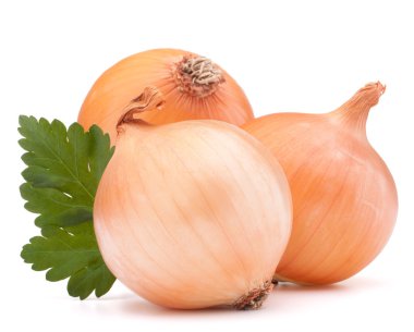 soğan sebze ampul ve maydanoz yaprakları natürmort