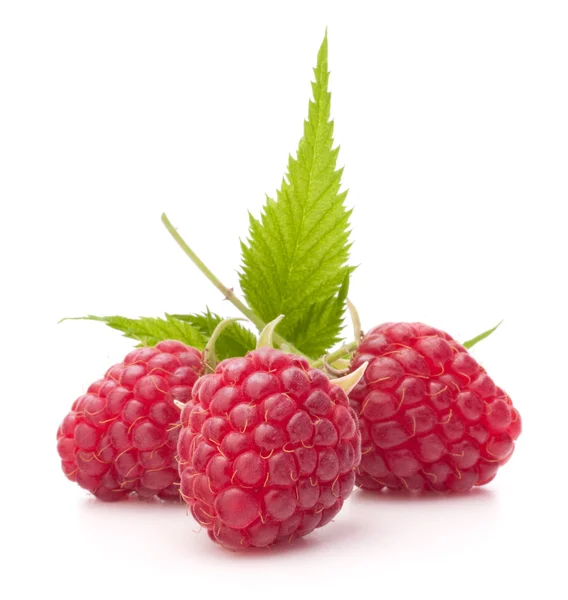 Sweet raspberry isolated on white background cutout — Stock Photo, Image