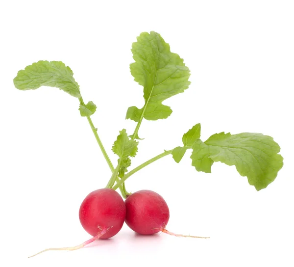 Small garden radish with leaves — Stock Photo, Image