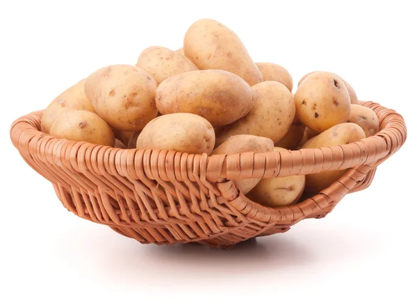 Potatis knöl i rotting korg isolerad på vit bakgrund — Stockfoto