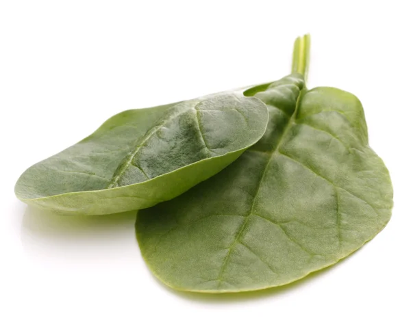 Recorte de verduras de espinacas — Foto de Stock