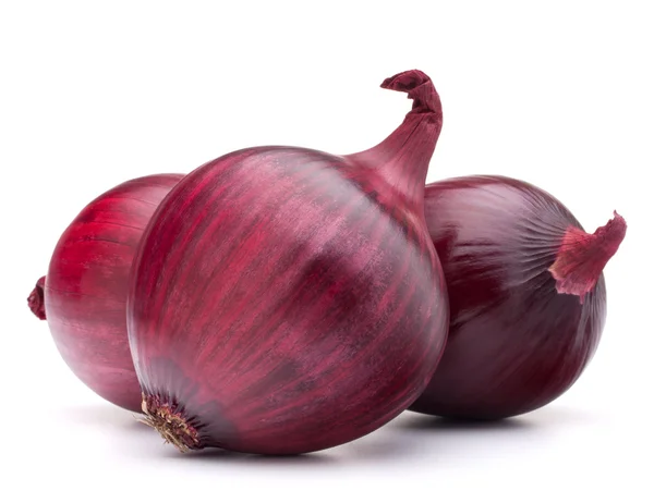 Bombilla de cebolla roja — Foto de Stock