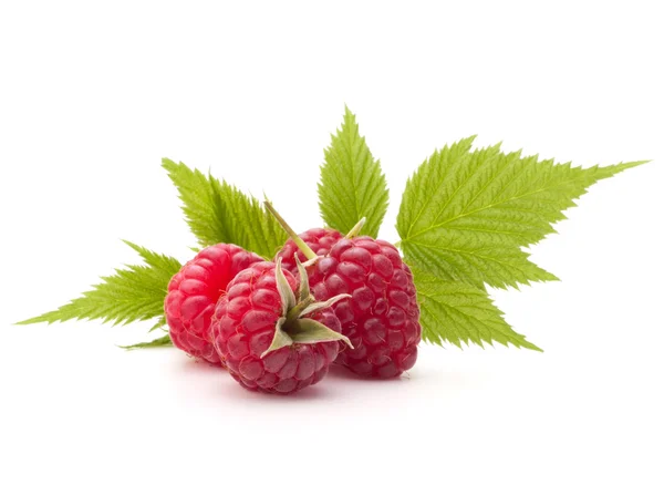 Sweet raspberry isolated on white background cutout — Stock Photo, Image