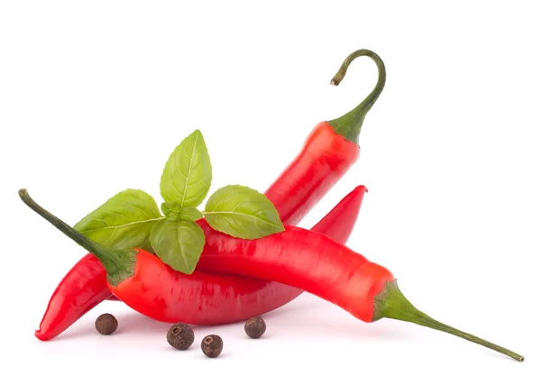 Hot red chili or chilli pepper and basil leaves still life — Stock Photo, Image