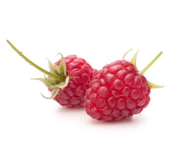 Sweet raspberry isolated on white background cutout — Stock Photo, Image