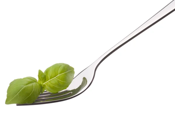 Fresh basil leaf on fork isolated on white background cutout. H — Stock Photo, Image