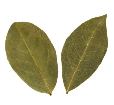 aromatik defne yaprağı