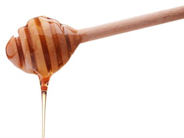 Beyaz arkasında izole bir ahşap bal ayı den damlayan bal