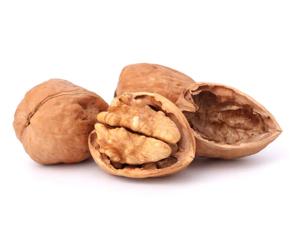 Walnut — Stock Photo, Image