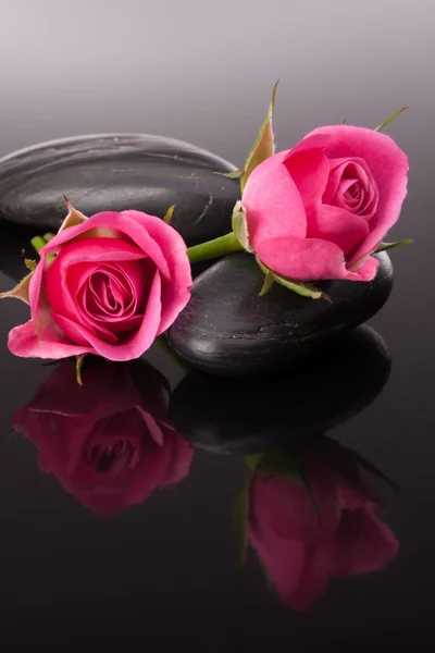 Spa steen en roze bloemen stillevens. gezondheidszorg concept. — Stockfoto