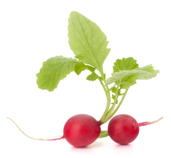 Small garden radish with leaves — Stock Photo, Image