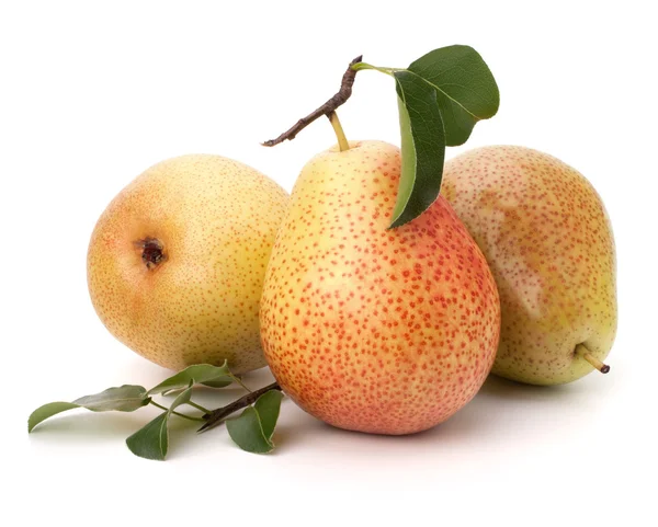 Pear fruits — Stock Photo, Image