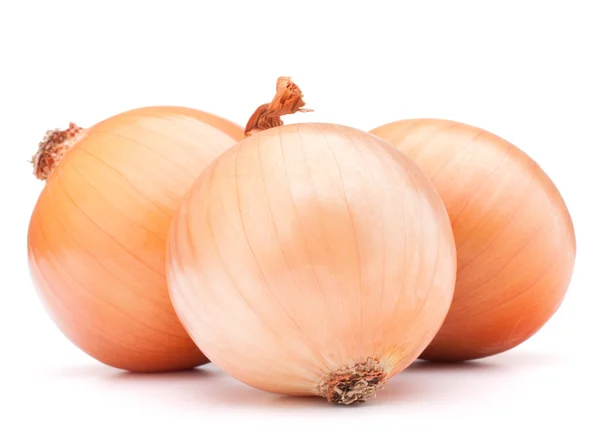 Bombillas de cebolla dorada — Foto de Stock