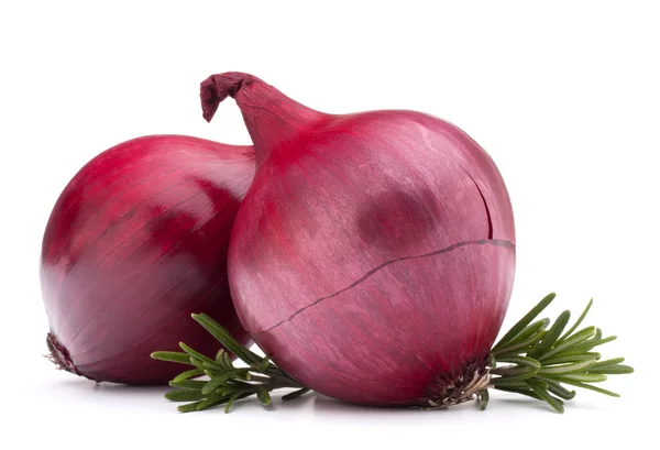 Cebolla roja y hojas de romero — Foto de Stock